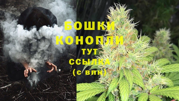 дурь Дмитров