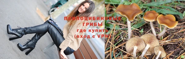 амф Абинск
