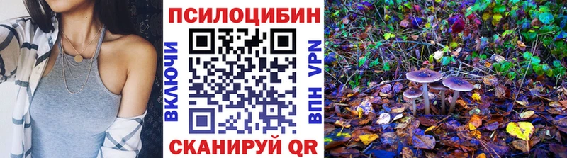 Псилоцибиновые грибы Psilocybine cubensis  где продают наркотики  Александров 